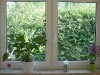 Fenster im Wohnzimmer - Blick zur Gartenhecke