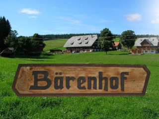 , Bärenhof - Ruhe & Entspannung im kleinen Paradies in Eisenbach (Hochschwarzwald)