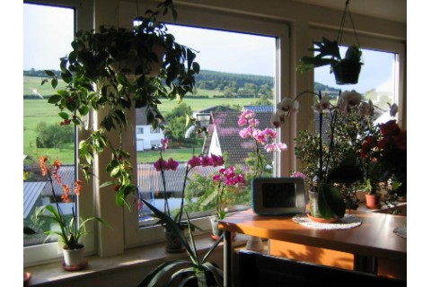 Panorama-Blick aus den Wohnzimmer-Fenstern