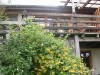 Terrasse mit Gartenmöbel