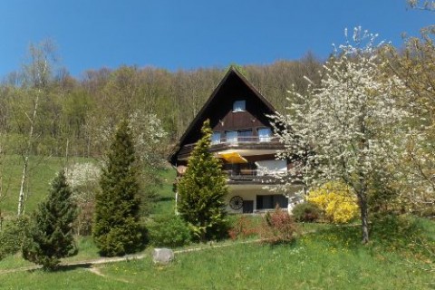 Haus im Frühling