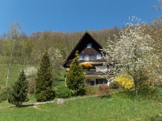 Haus im Frühling, Ferienwohnungen Frechehof in Bad Peterstal-Griesbach