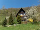 Ferienwohnungen Frechehof in Bad Peterstal-Griesbach