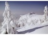 Wintertraum am Großen Arber